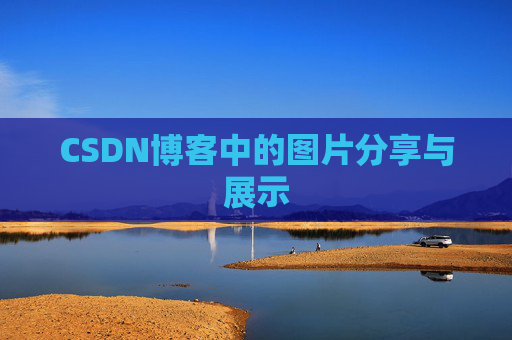 CSDN博客中的图片分享与展示